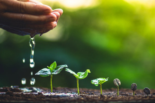 Protegiéndose del Desgaste Ministerial